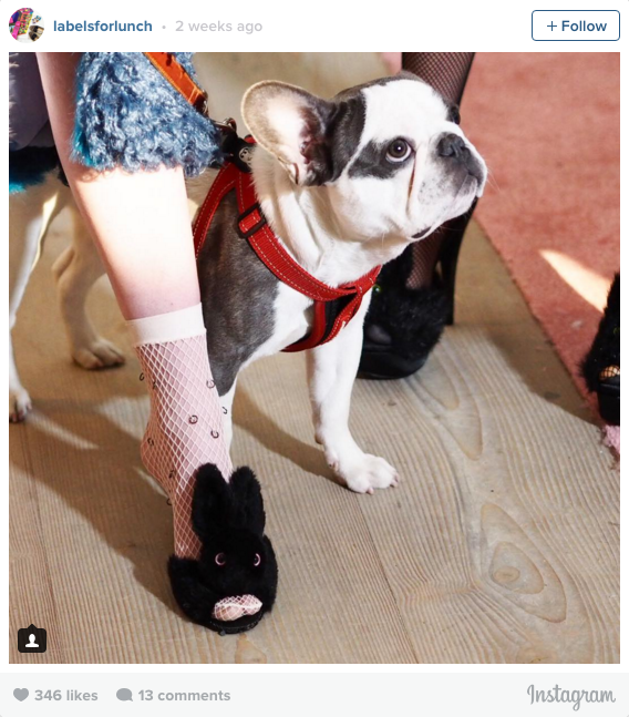 Screen Shot 2016-03-07 at 09.33.43